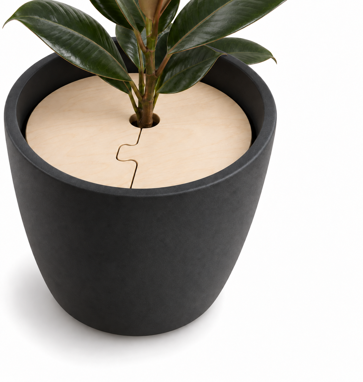 Concept illustration: plywood cover nested below the planter rim