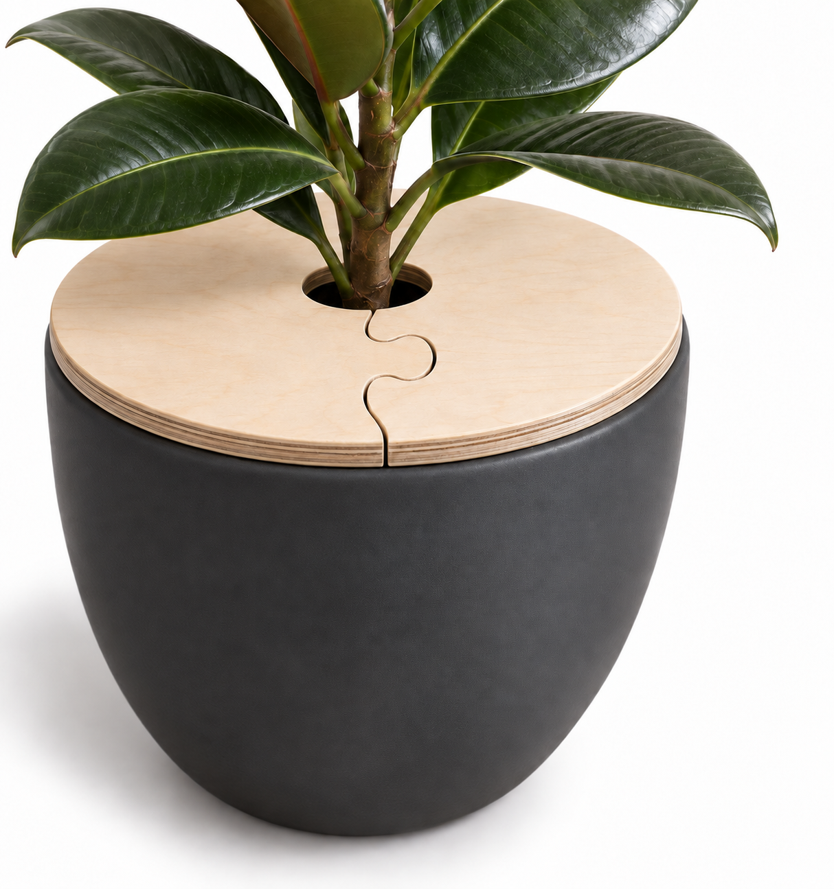 Concept illustration: plywood cover resting on top of the planter rim